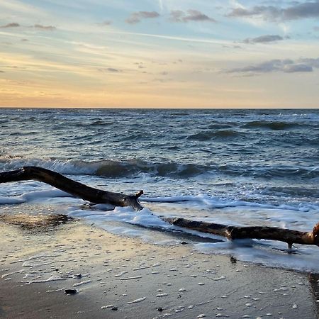 Ferienwohnung Strandkoje Dierhagen Dış mekan fotoğraf