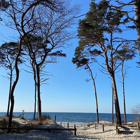 Ferienwohnung Strandkoje Dierhagen Dış mekan fotoğraf