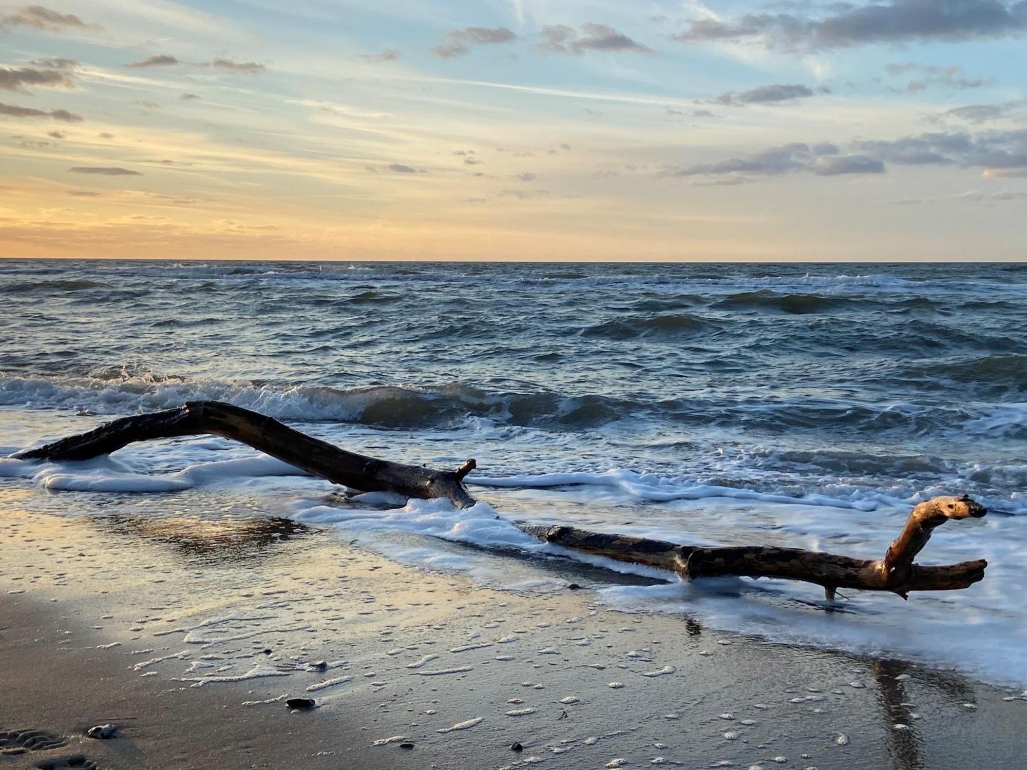 Ferienwohnung Strandkoje Dierhagen Dış mekan fotoğraf
