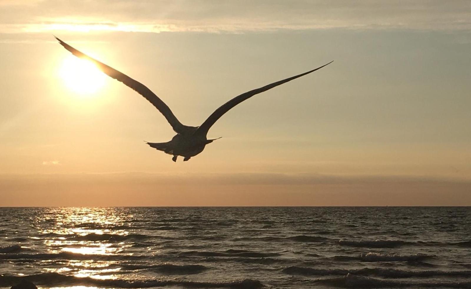 Ferienwohnung Strandkoje Dierhagen Dış mekan fotoğraf