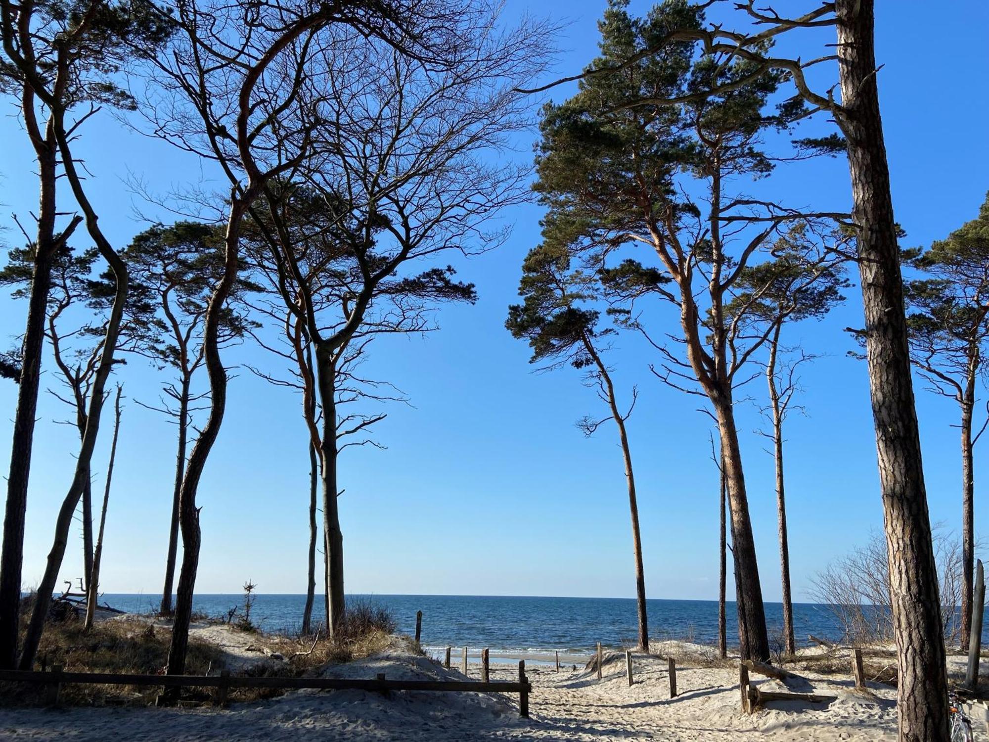 Ferienwohnung Strandkoje Dierhagen Dış mekan fotoğraf